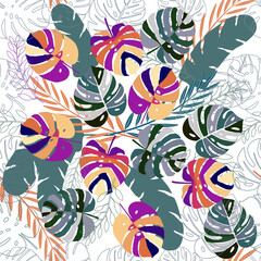 Summer vector illustration. Beautiful abstract design template with monstera leaves.
