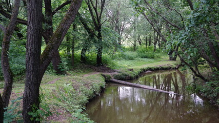 Fototapeta na wymiar Little river in the park