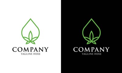 cannabis logo design. illustration of cannabis with water drop. Vintage logo design with line art style