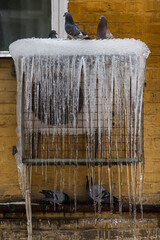 The air conditioner covered with ice icicles is placed on the wall of the house