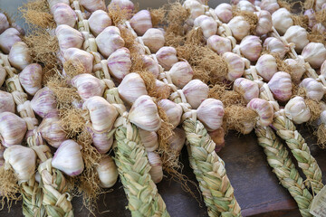 Teste di aglio di Vessalico raccolti a treccia