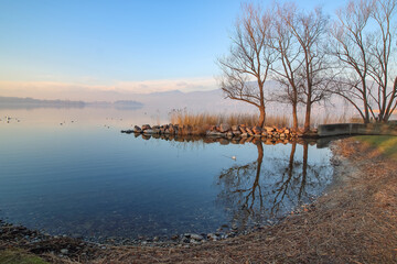 Fototapeta premium Alberi spogli sulle rive del lago, riflessi nell'acqua