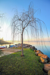 Fototapeta na wymiar Un salice piangente spoglio in riva al lago