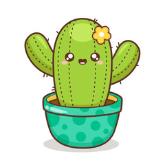 cute cactus in colorful pot