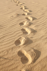 footprints in the sand in the desert in the summer