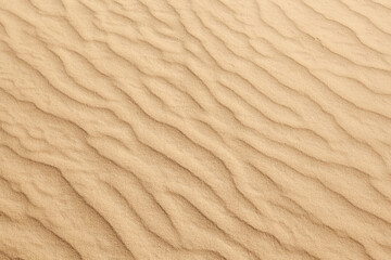 footprints in the sand in the desert in the summer