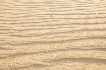 Fototapeta na wymiar footprints in the sand in the desert in the summer