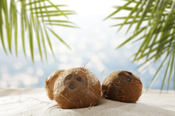 Fresh coconuts on sand and landscape of sea 