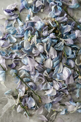 on a marble background, the wilted petals of a delphinium