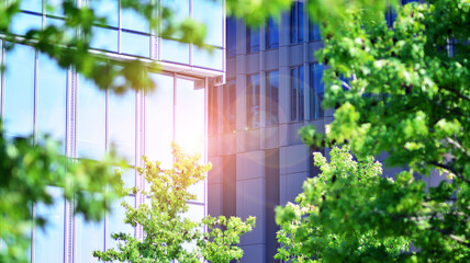 Eco architecture. Green tree and glass office building. The harmony of nature and modernity. Reflection of modern commercial building on glass with sunlight. 