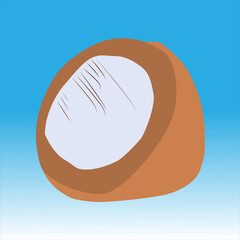 Coconut exotic fruit in flat design style illustration