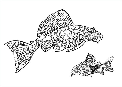Aquarium with ancistrus and catfish for coloring. Colorful fish vector template. Coloring book for children and adults.	