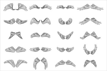 Lineart isolated wings bird animal angel fly set design vector illustration