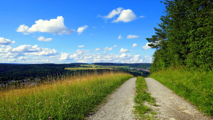 Fototapeta na wymiar romantischer Wanderweg im Schwarzwald mit weiter Aussicht unter blauem Himmel mit weißen Wolken