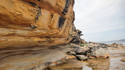 Sandstone Cliff  Cape Banks Sydney in the Botany Kamay Bay National 