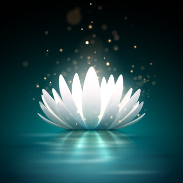 Water lily with light effect