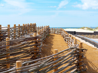 Strengthening the dunes. Wicker fence - protection against sand.