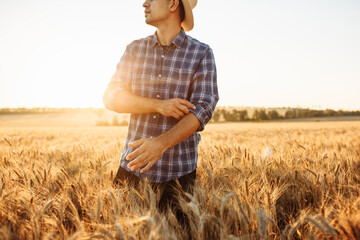 A farmer straightens his sleeves in a wheat field. A close-up shot of a male agronomist in the middle of a field with spikelets of wheat. The concept of a ripe harvest and hard work.