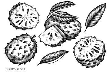 Vector set of hand drawn black and white soursop