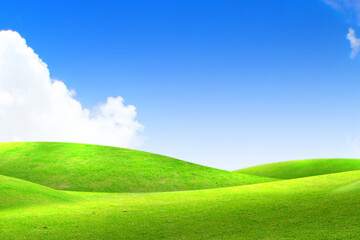 Green meadows with blue sky