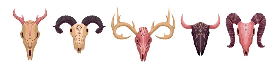 Boho set of animal skull in boho style. Flat,  outline and simple style.