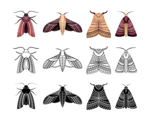Boho set of moths with geometrical patterns. Outline, flat and simple style.