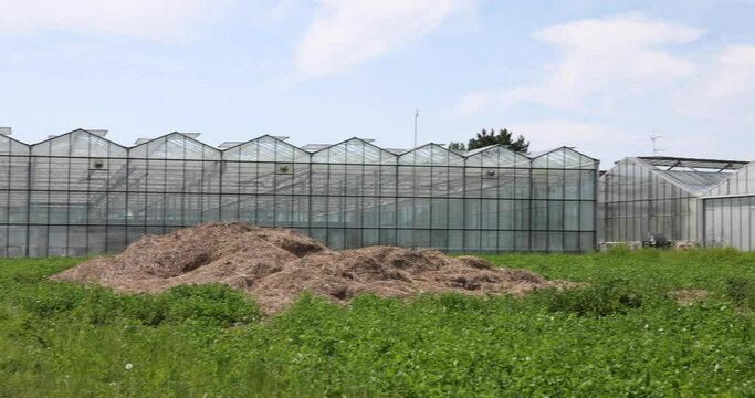 The greenhouses on Reichenau Island, Baden-Wuerttemberg, Germany in 4K