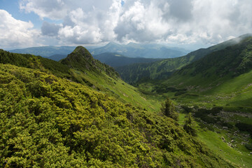 Fototapeta na wymiar Nature landscape panoramic wallpaper from Carpathian Mountains