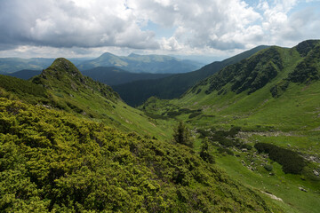 Landscape panoramic view of summer Maramures