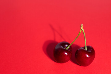 Close-up of two ripe large sweet cherry berries on a red background. Place for your text.