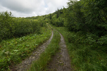 Fototapeta na wymiar Hiking trail in Maramures Carpathian Mountains