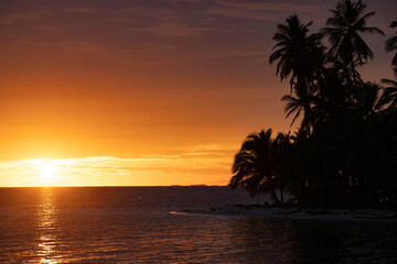 Sunset on the island of tropical sea with palm tree. Summer, vacation, tropical resort and travel concept. copy space 