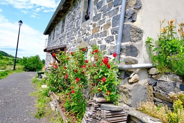 Fototapeta na wymiar maison village de queyrières massif du meygal haute loire france