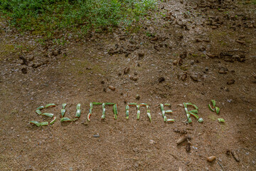 In the forest on the ground watermelon. the word SUMMER is laid out with crusts