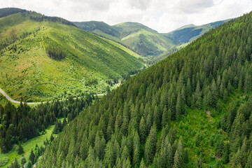 Naklejka premium Panoramic view of green mountain hills in the summer. Green valley with high trees 
