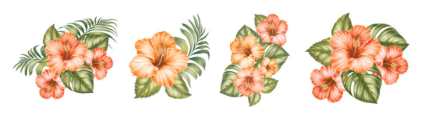 Watercolor elements of blooming hibiscus. Tropical set garden flowers. Collection botanic illustration leaves, flower and branches.
