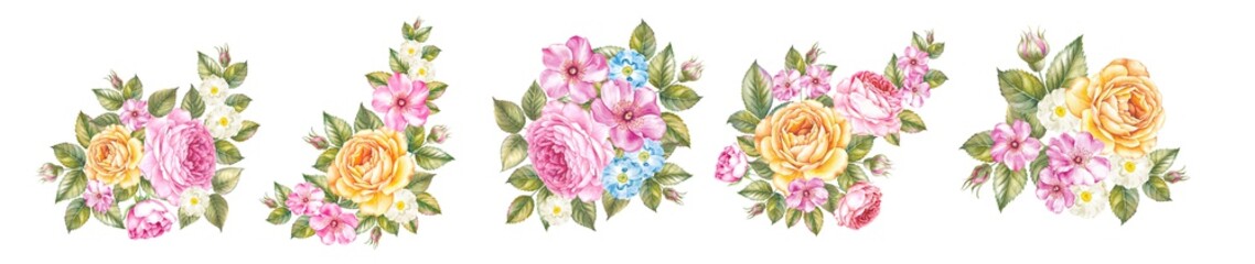 Watercolor elements of blooming rose. Set garden flowers. Collection botanic illustration leaves, flower and branches.