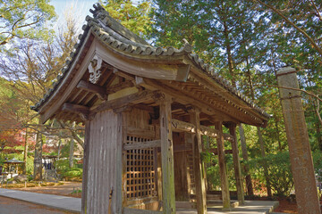 Naklejka premium 秋の大興善寺「仁王門（山門）」