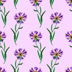 Cornflowers seamless pattern, watercolor illustration.