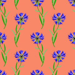 Cornflowers seamless pattern, watercolor illustration.