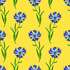 Cornflowers seamless pattern, watercolor illustration.