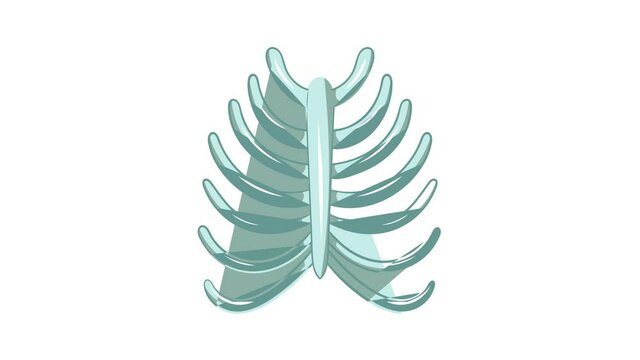 Ribs icon animation cartoon best object isolated on white background