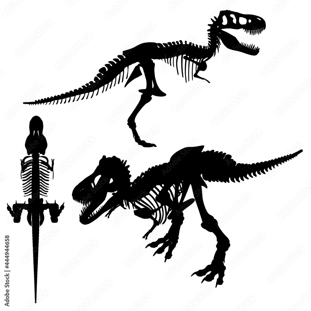Aufkleber set with silhouettes of dinosaur skeleton in different positions isolated on white background. vecto