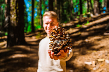 A young man holds a huge cone in Sequoia National Park, USA