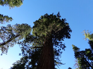 Yosemite National Park