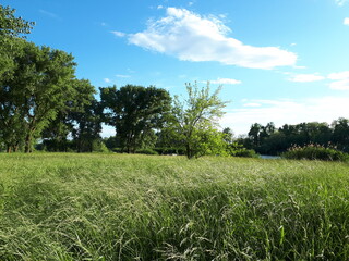 green field and blue sky