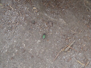 Yosemite National Park