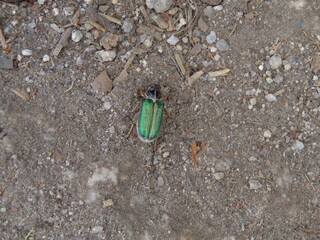 Yosemite National Park