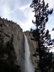 Yosemite National Park