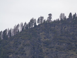 Yosemite National Park